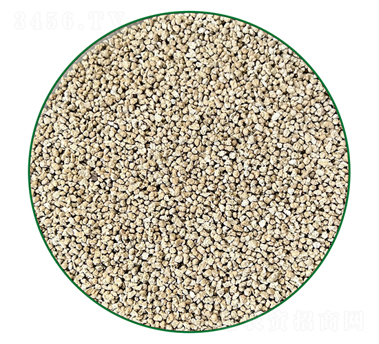 �������w��-�o����-�г�����