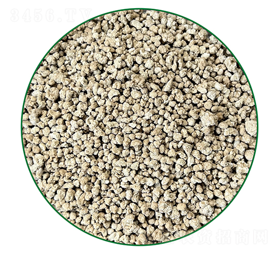 �������w��-40��-�г�����