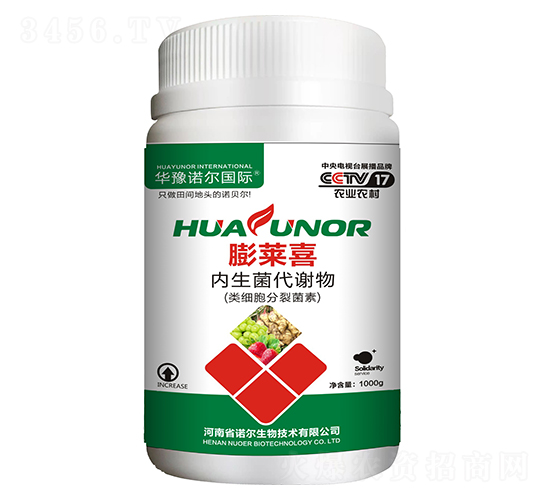 ���Rϲ1000g-�Z������