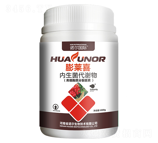 ���Rϲ-�Z������