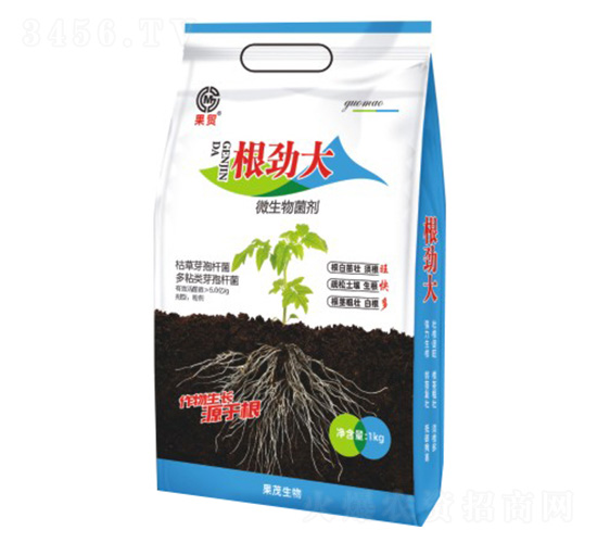 ���Ŵ�-΢�������-��ï����