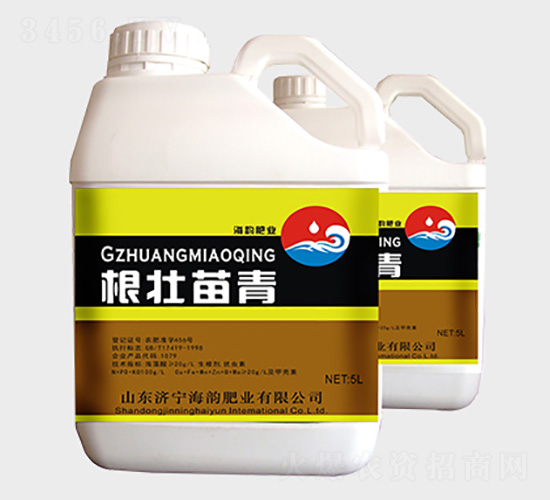 ���������_ʩ��-�������