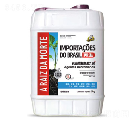 ���à��缱��120-����-��˹��