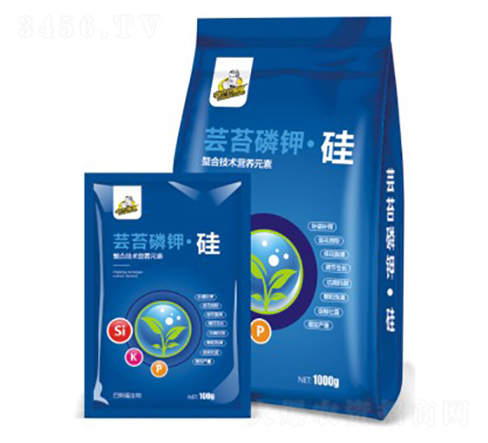 �|̦��⛹�-��˹��