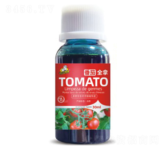 ����ȫ��-��˹��