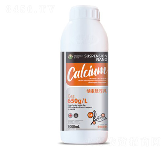 �{�בҸ��}-�۶�����