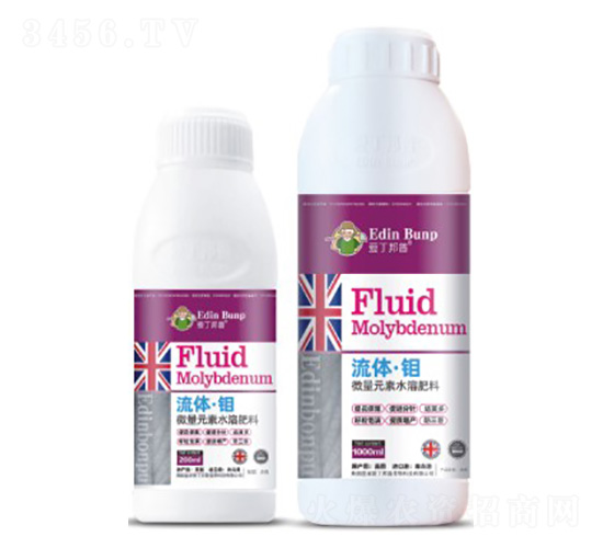 ���w���f-�۶�����