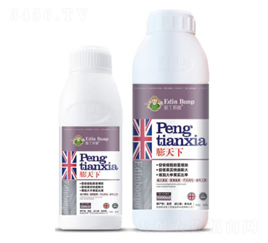 ������-�۶�����