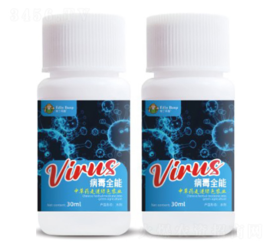 ����ȫ��-�۶�����