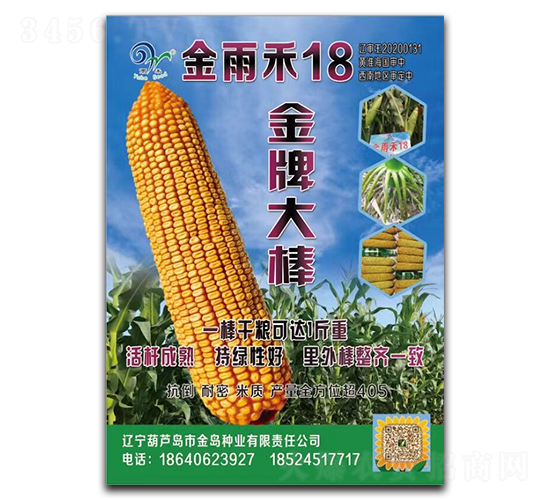 �����18�����ƴ����-���׷N��-�п�����