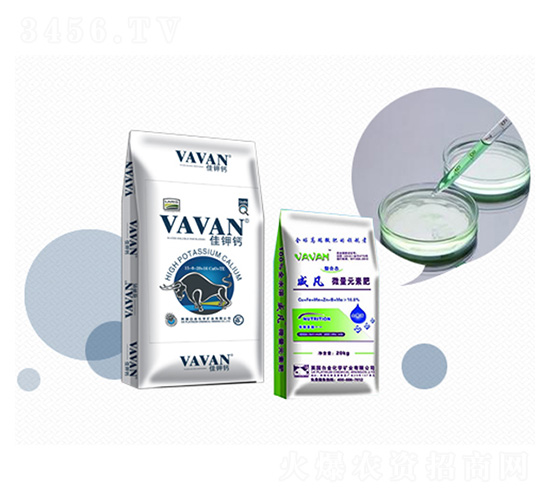 �M(j��n)�ڷ���-����}-�Kӯ(li��n)���B(t��i)