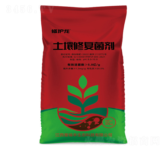 �����ޏ�(f��)����-���o(h��)��-�����S