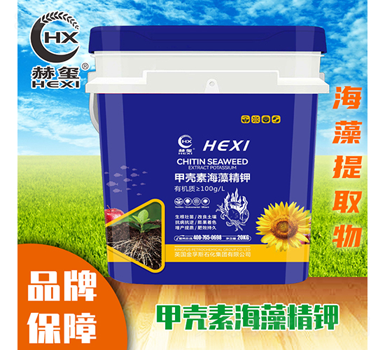 �ך��غ��徫�-�խt