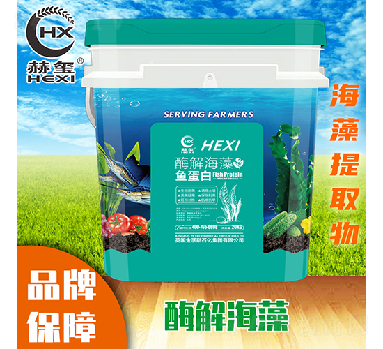 ø�⺣���~����-�խt