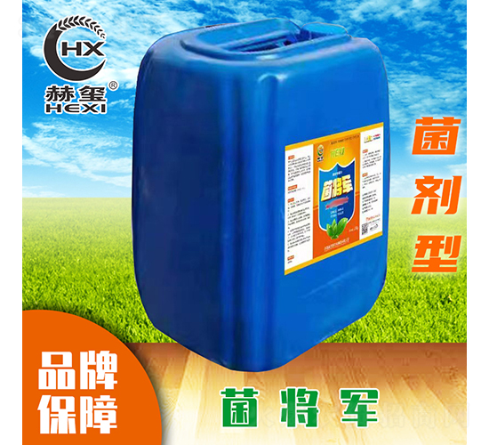 ����܊-�խt