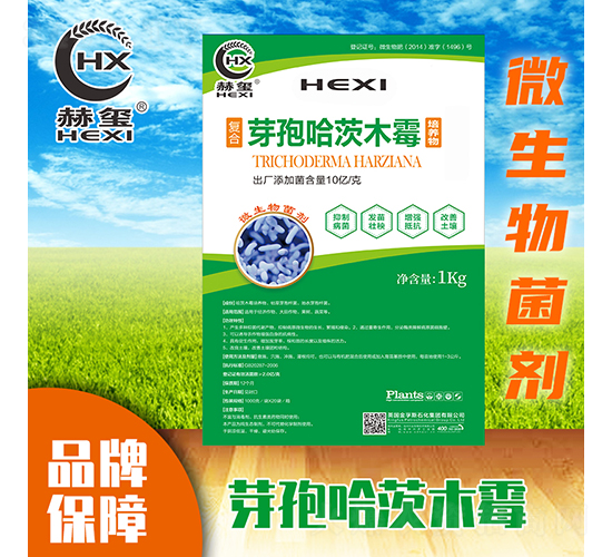 ѿ�߹���ľù-�խt