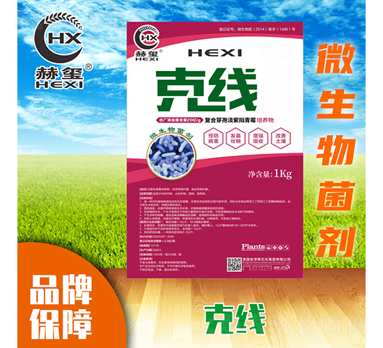 �˾�΢�������-�խt