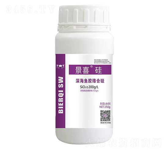 ��~(y��)�z�j(lu��)�Ϲ裨ƿ��-��ϲ����-�Ƞ���