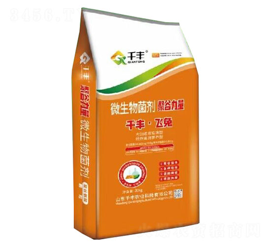 ΢�������-�۹�����-ǧ�S���w��-ǧ�S�r(n��ng)�I(y��)