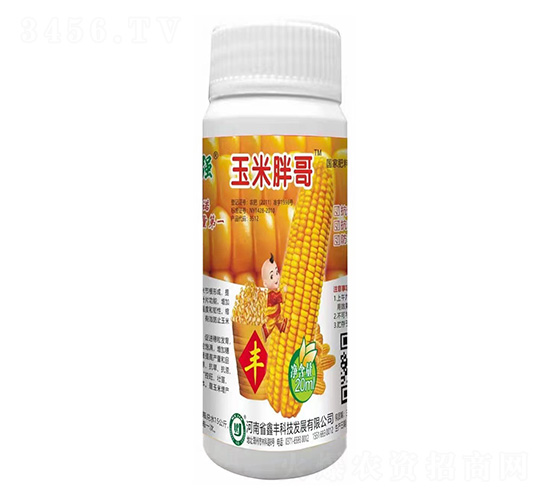 �����ָ�-���S�Ƽ�