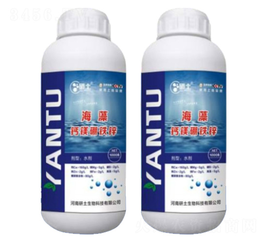 �����}�V���F�\-��������