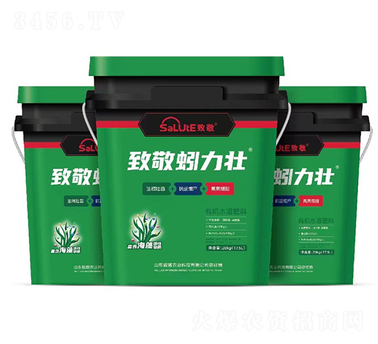 �����-�¾�