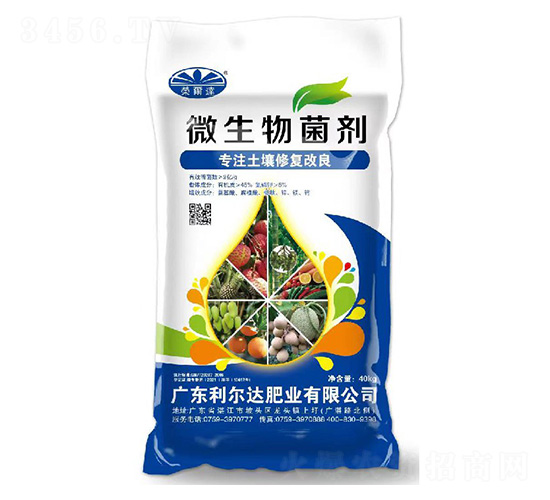 ΢�������-�s���_(d��)-�����_(d��)�ʘI(y��)