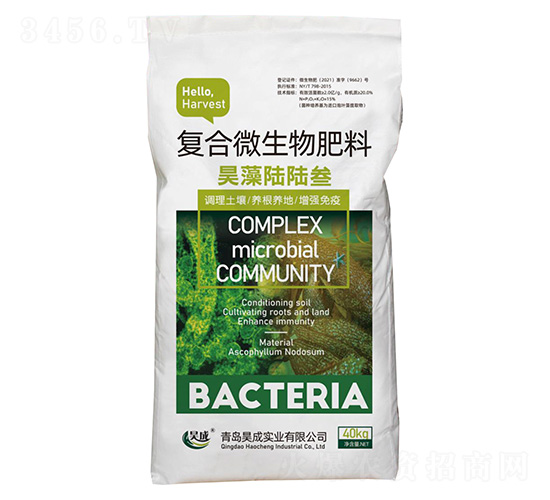 �ͺ�΢�������-�������-껳Ɍ��I(y��)