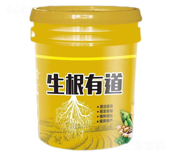 �����е�-�����S-��������