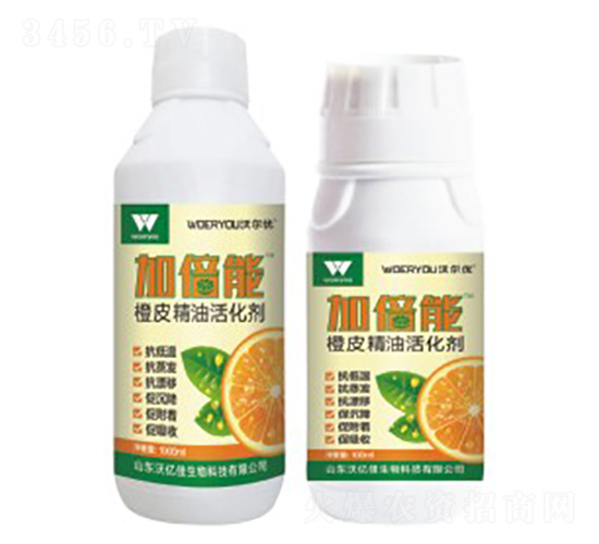 ��Ƥ���ͻ��-�ӱ���-�֠���(y��u)