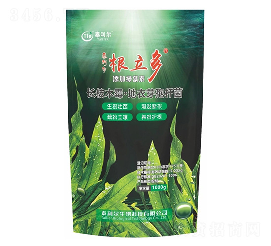 ������-̩����