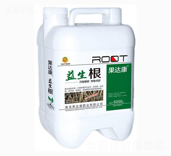 �������_ʩ��-���_(d��)���ʘI(y��)