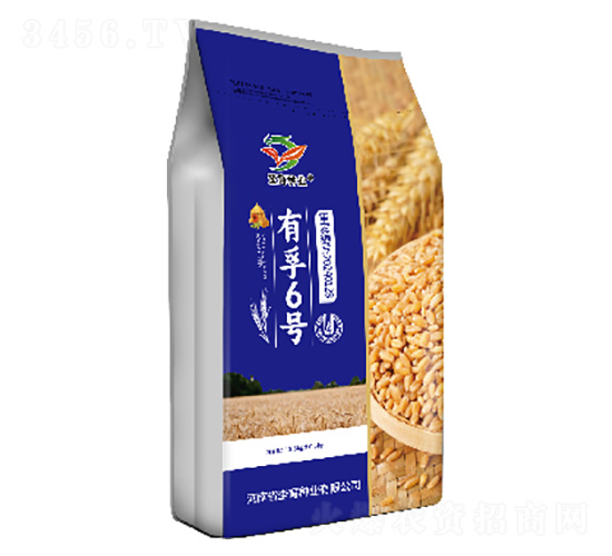 С���N��-����6̖(h��o)-�h���N�I(y��)