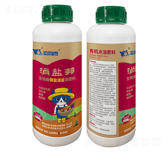 �����ή�}���}�{(di��o)�턩-���}��-�{(l��n)؈�ǻ�