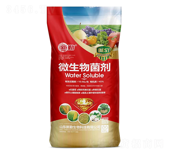 10�|���΢�������-����