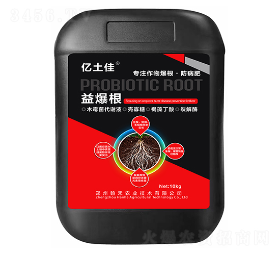 �汬��-�|����-����