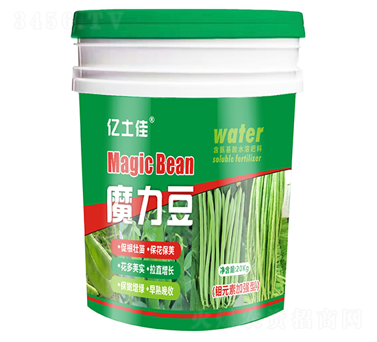 ħ����-�|����-����