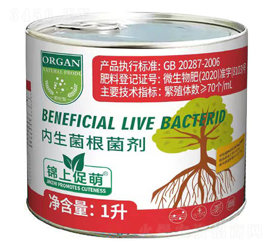 ��(n��i)����������-�\�ϴ���-����