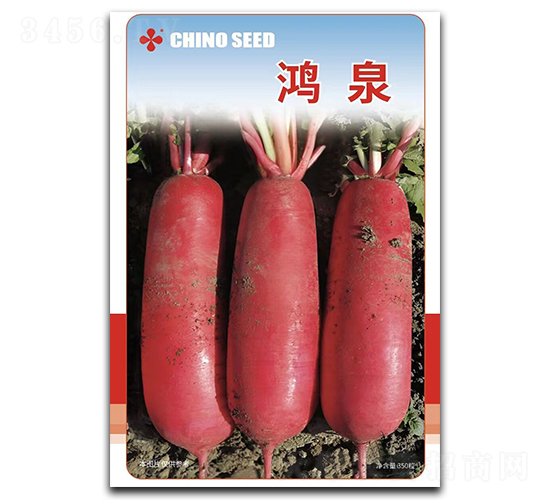 ��Ȫ�}���N��-���W�N��