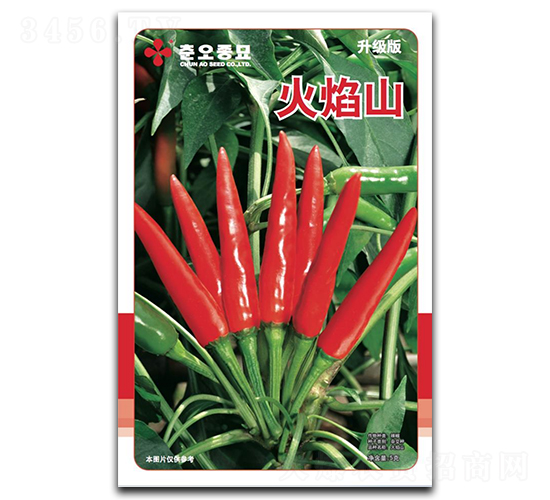 ����ɽ���콷�N��-���W�N��