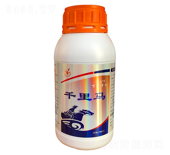 ǧ���R-�������S