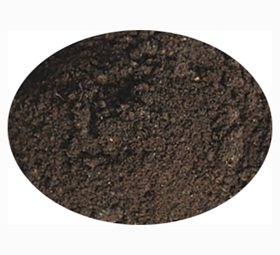 ���⌣�÷�-ӭ������