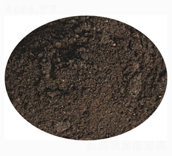 �޻����÷�-ӭ������