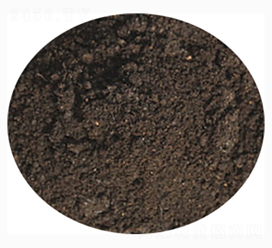 ��ƺ�G�����÷�-ӭ������