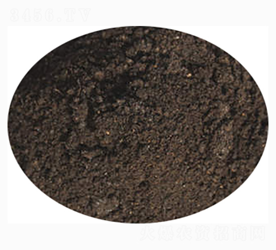 ���������÷�-ӭ������