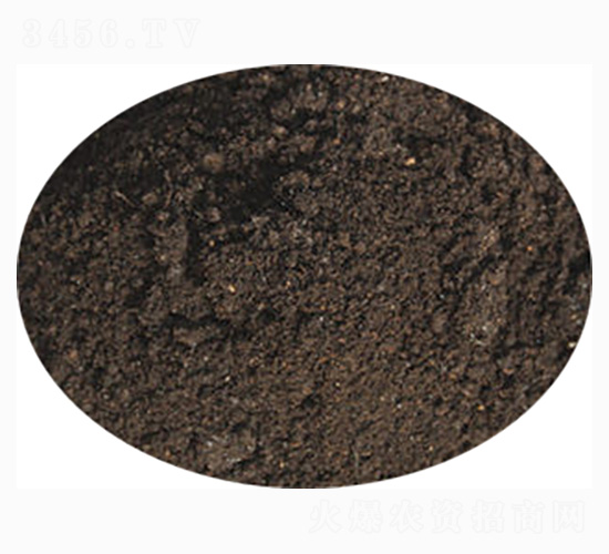 ��ɽˎ���÷�-ӭ������