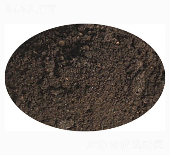 �߲ˌ��÷�-ӭ������