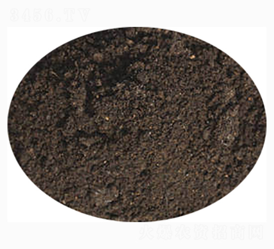 �Ͳ茣�÷�-ӭ������