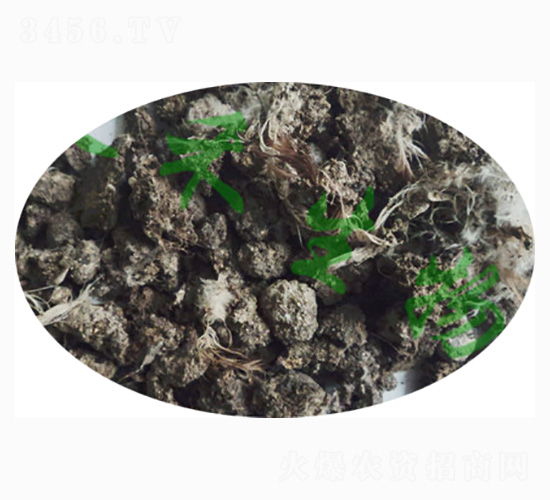 ����u�S�K-ӭ������