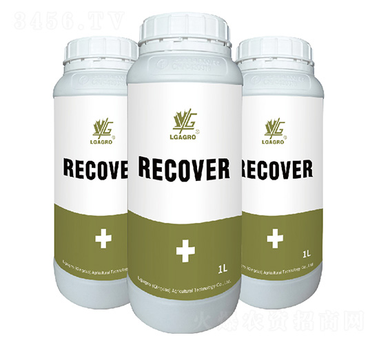 �����-�����_